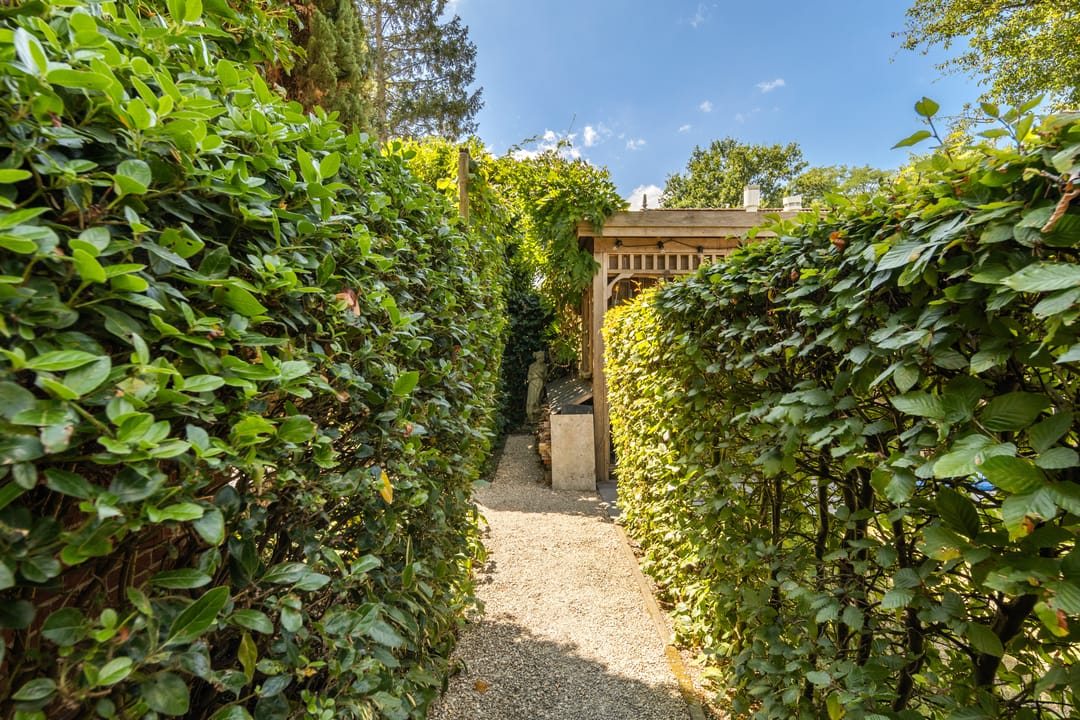 Photo 53 of Plantagebaan 224