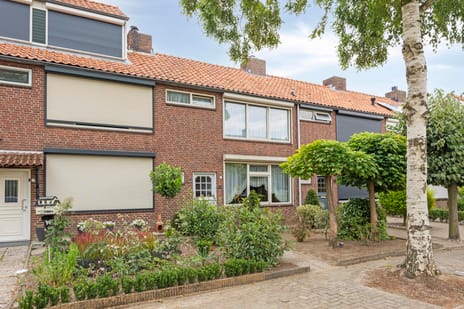 Willem van de Veldestraat thumbnail