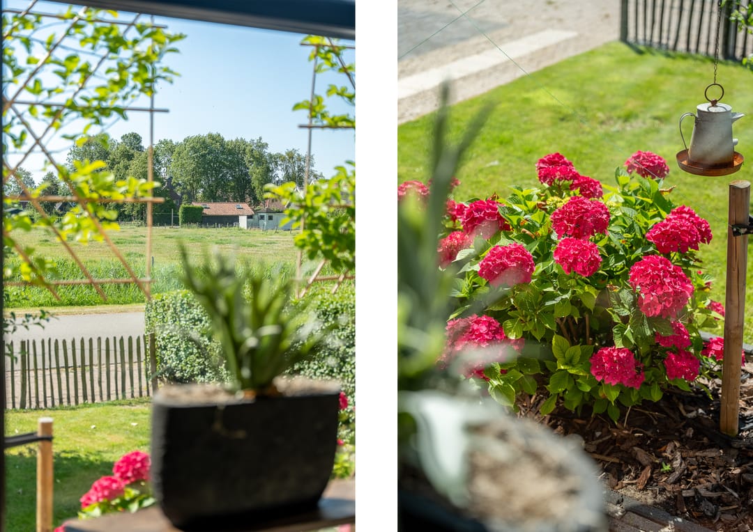 Photo 11 of Witteweg 15