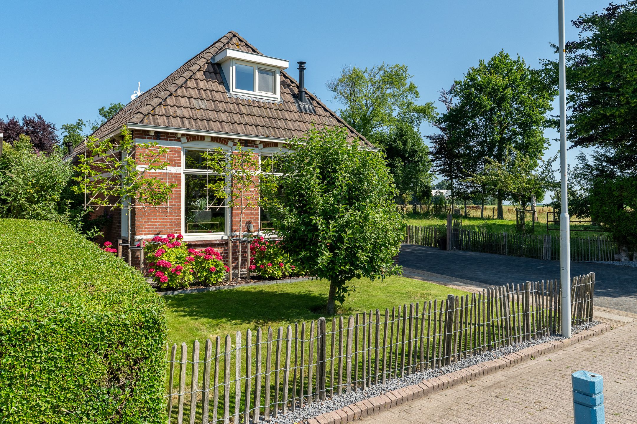 Photo 39 of Witteweg 15
