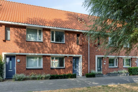 Daniël Marotstraat thumbnail