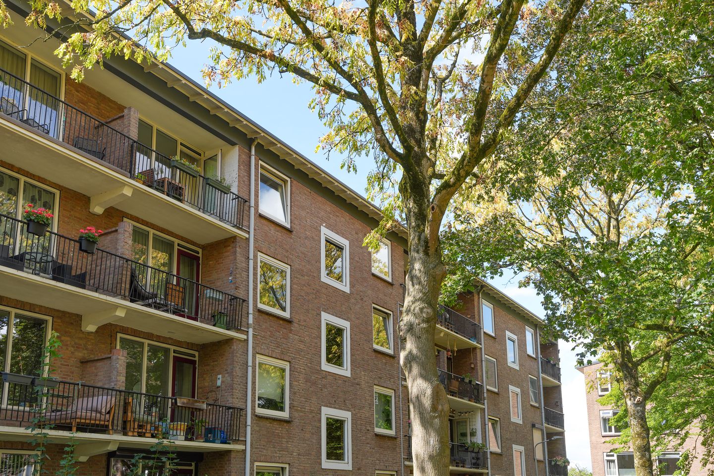 Foto 40 van Wolfstraat 74