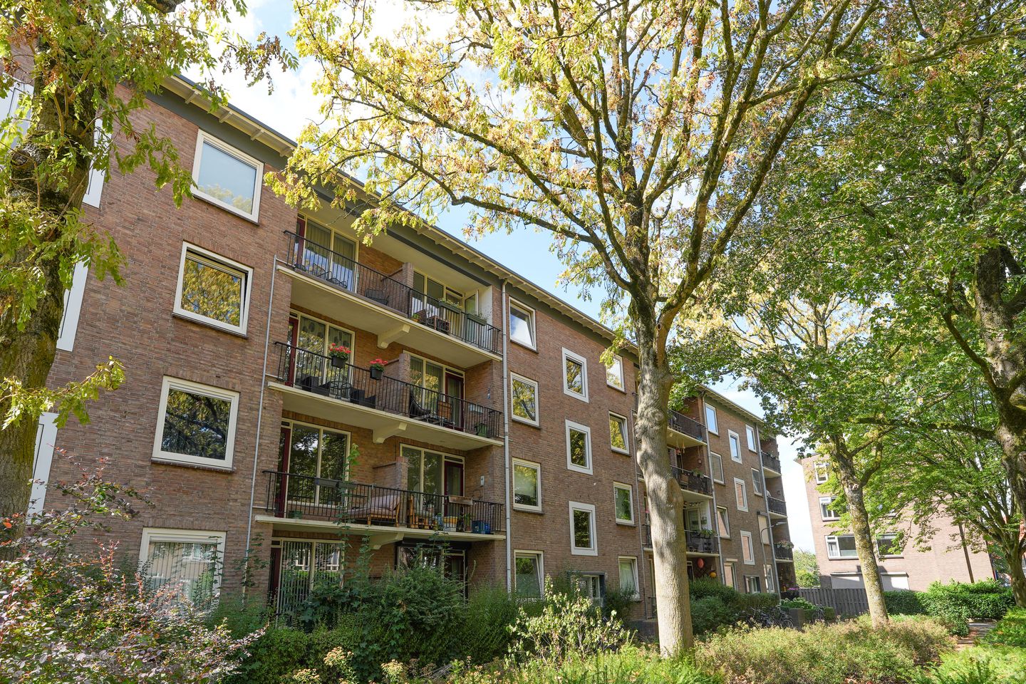 Foto 35 van Wolfstraat 74