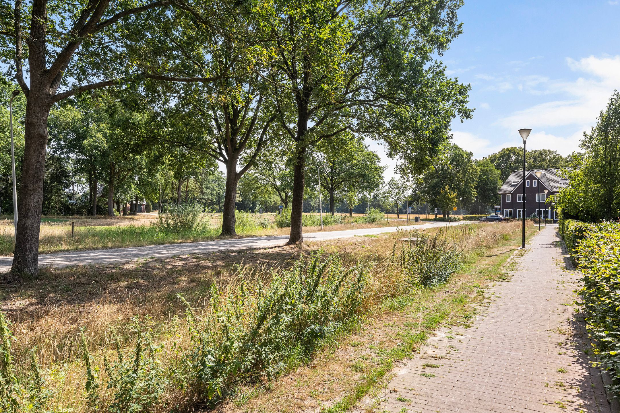 Photo 24 of Hamerbijl 12