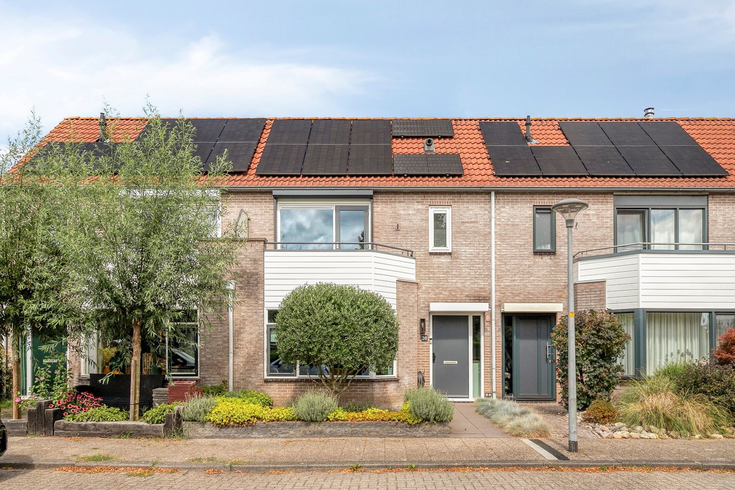 Photo 4 of Schokker 36
