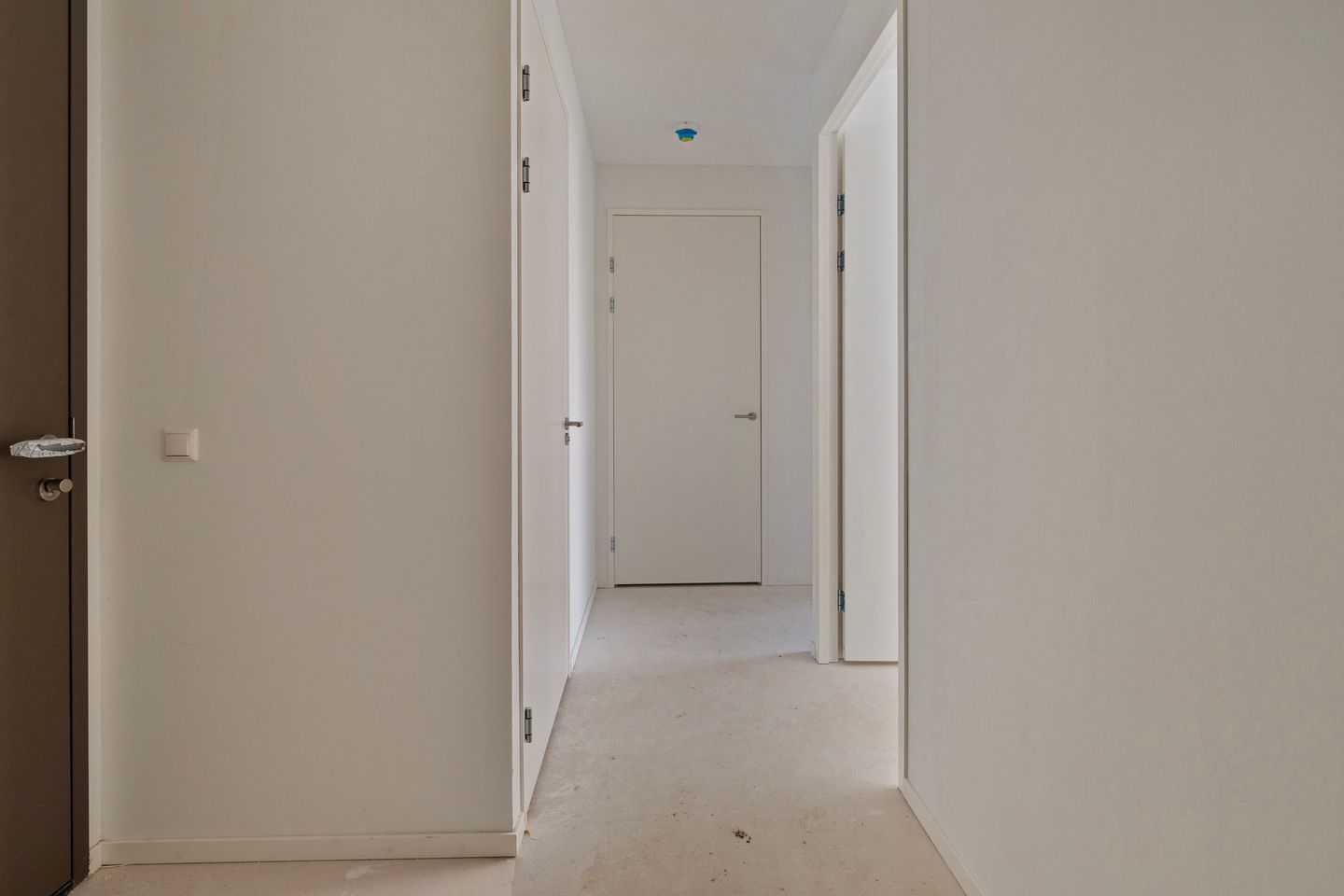 Photo 4 of Plesostraat 15