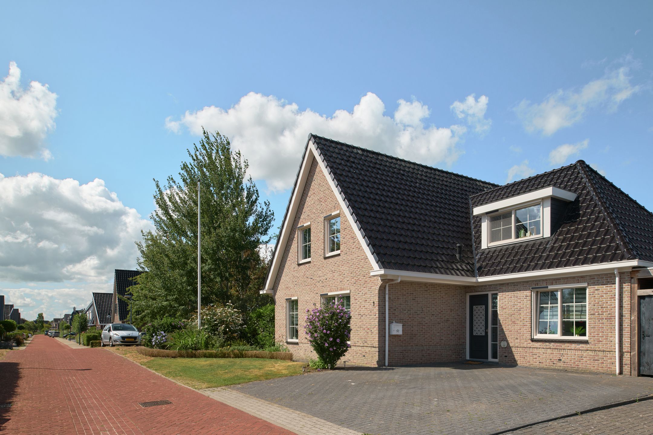 Foto 48 van De Ekster 1
