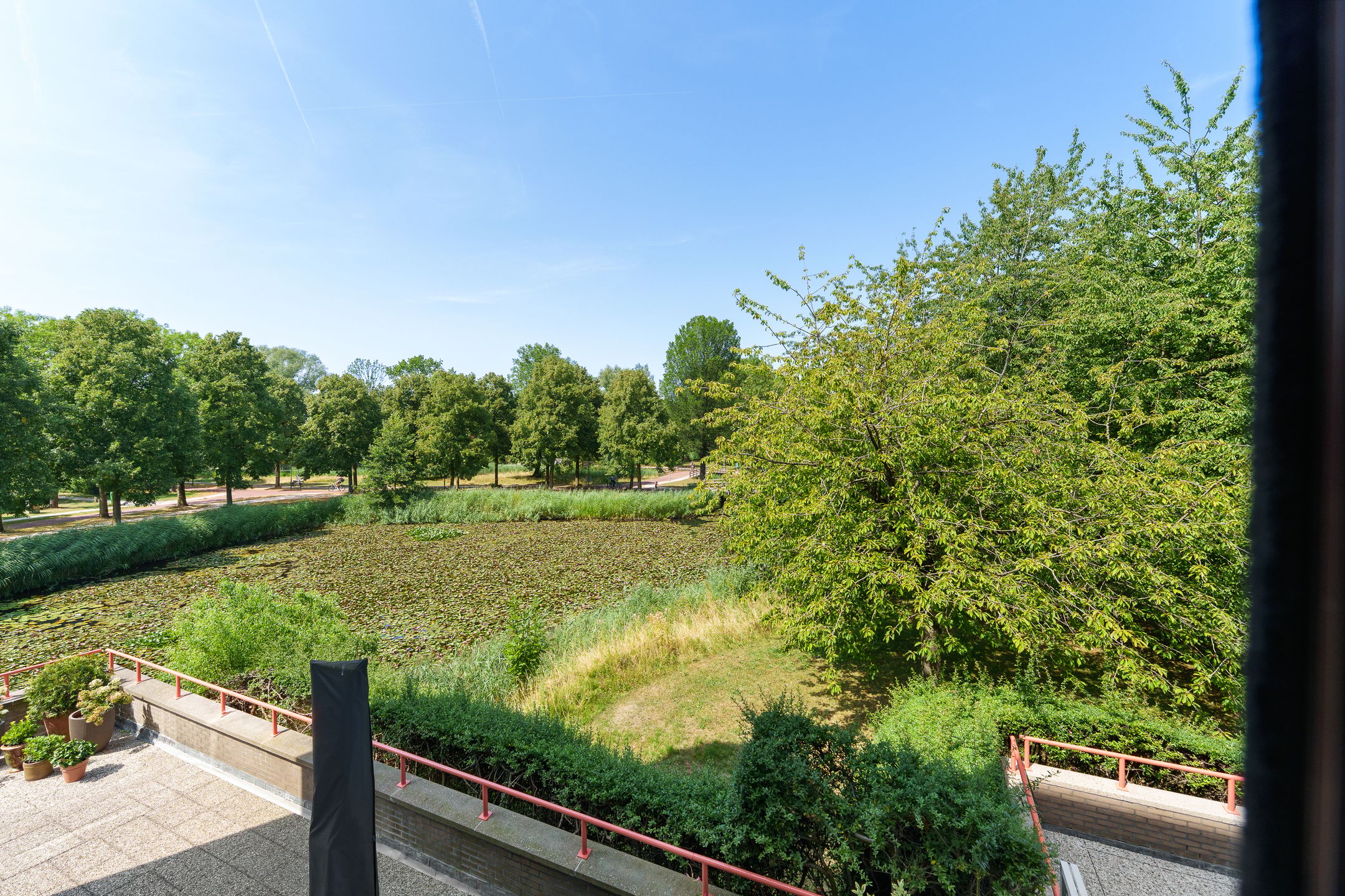 Photo 12 of Zomervlinderberm 76