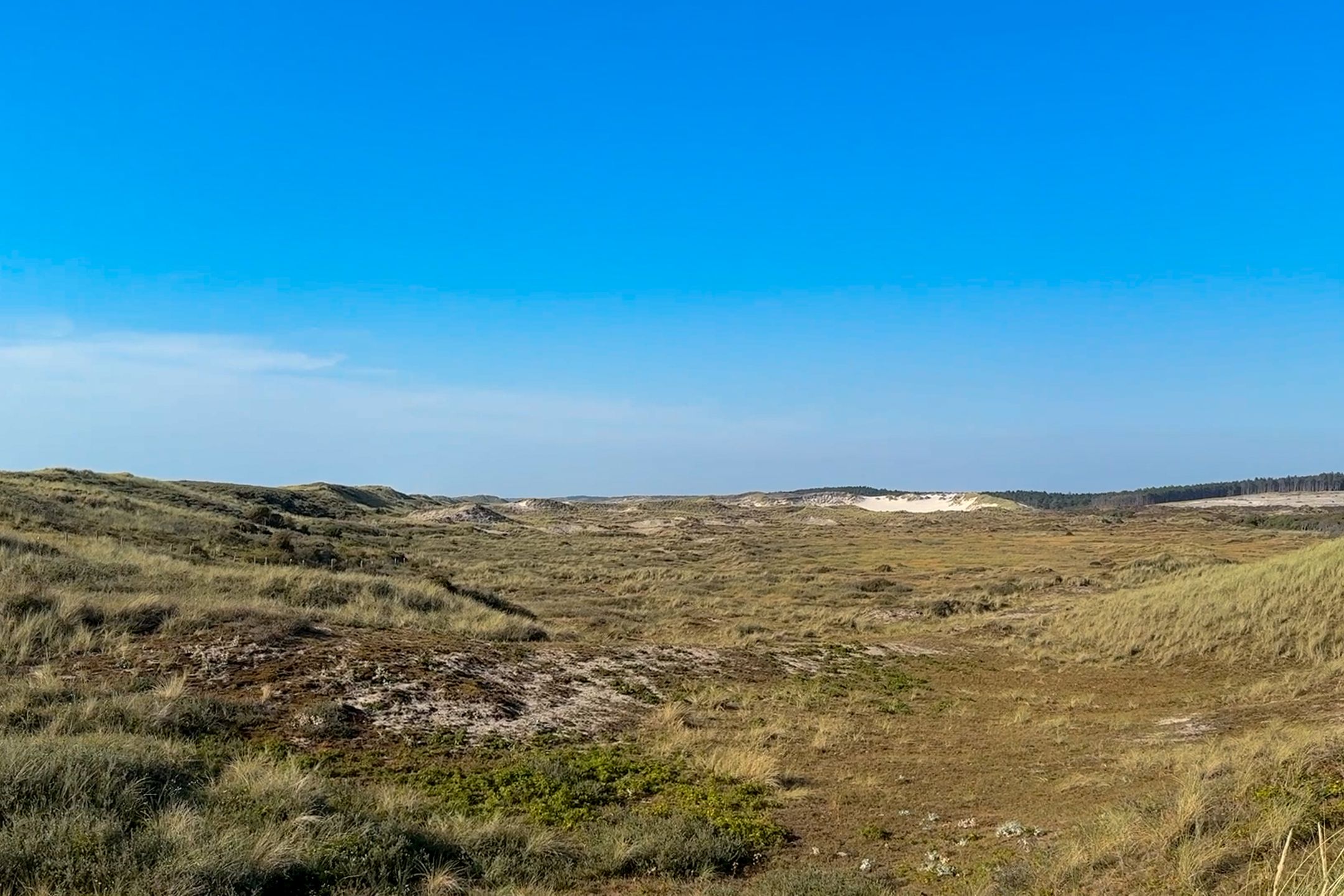 Photo 66 of Fazantenlaan 16
