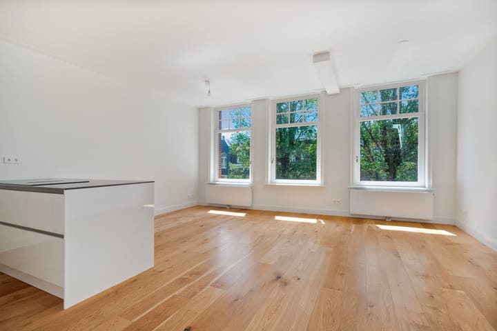 Appartement te koop: Johannes Verhulststraat 142-3, Amsterdam
