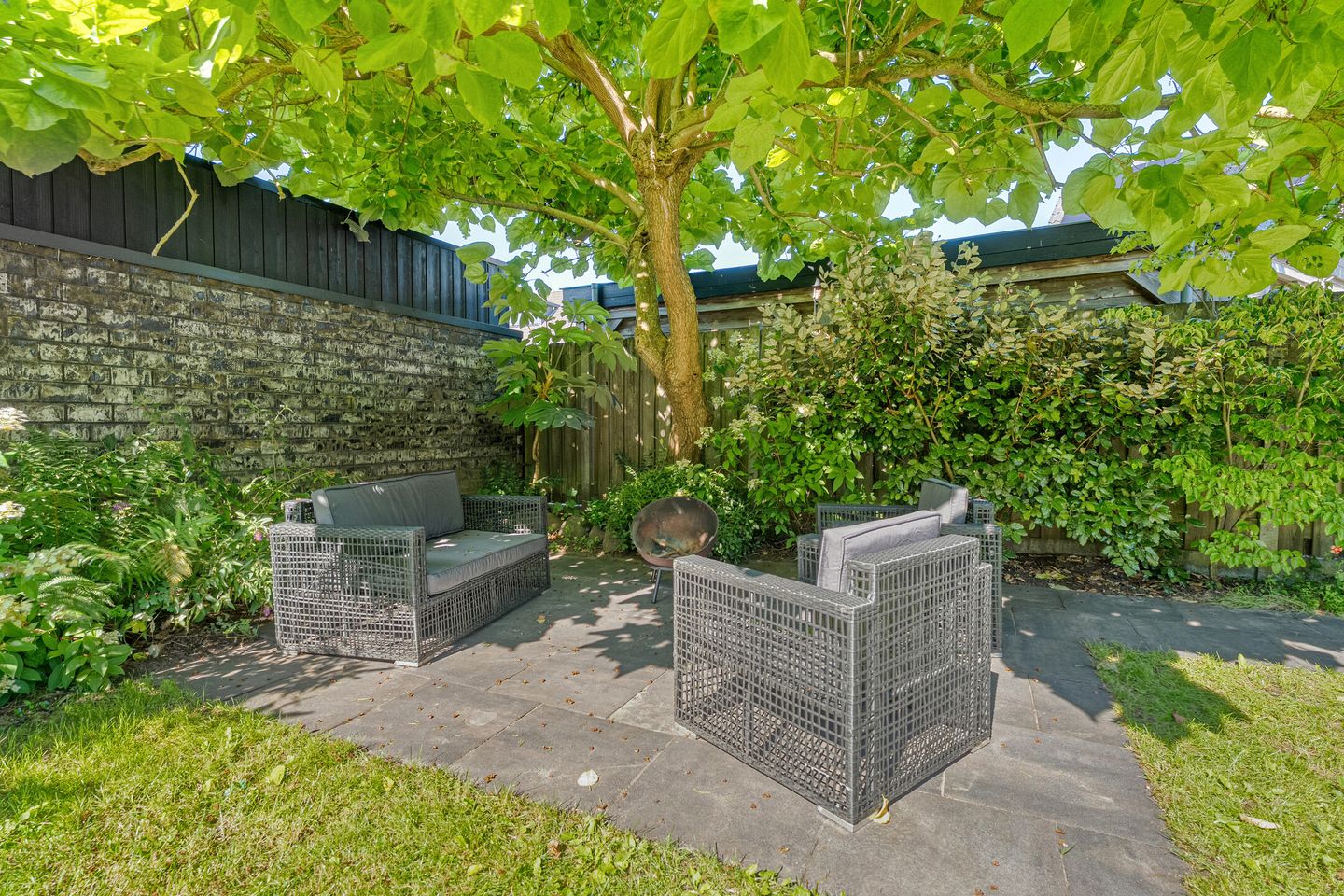 Photo 49 of Collendoorn 3