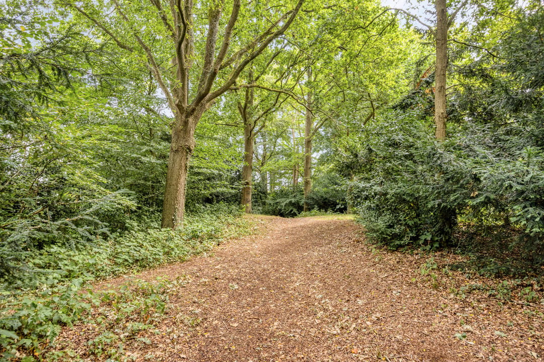 Photo 38 of Nachtegaalweg 2