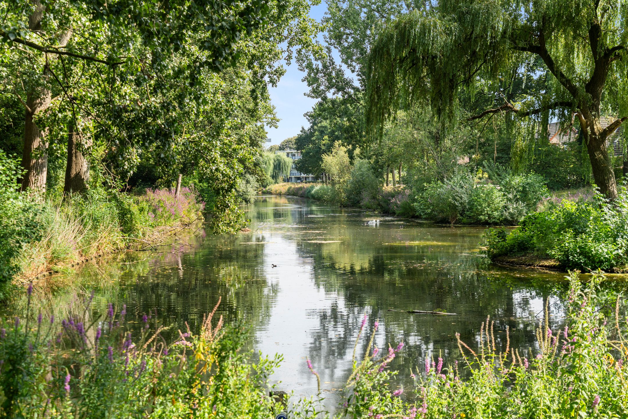 Photo 48 of Tilanuspark 9