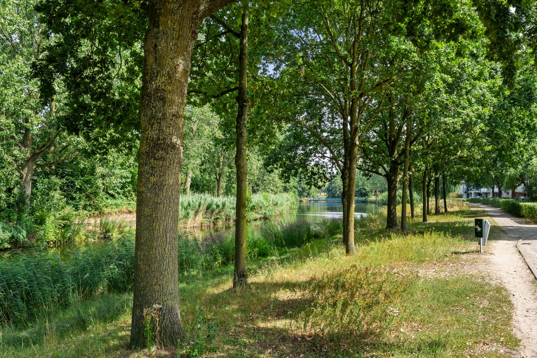 Photo 46 of Tilanuspark 9