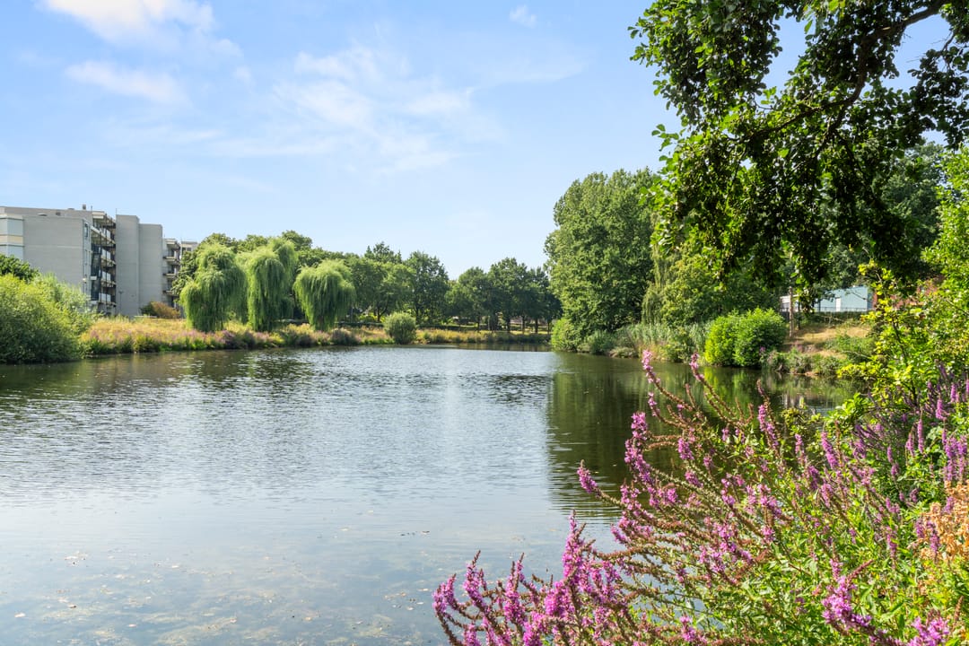 Photo 47 of Tilanuspark 9