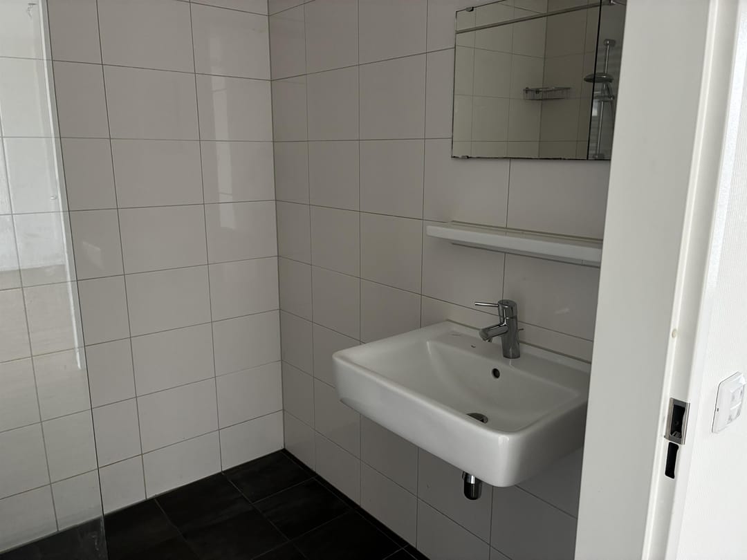 Foto 7 van Stadhoudersplantsoen 228-F