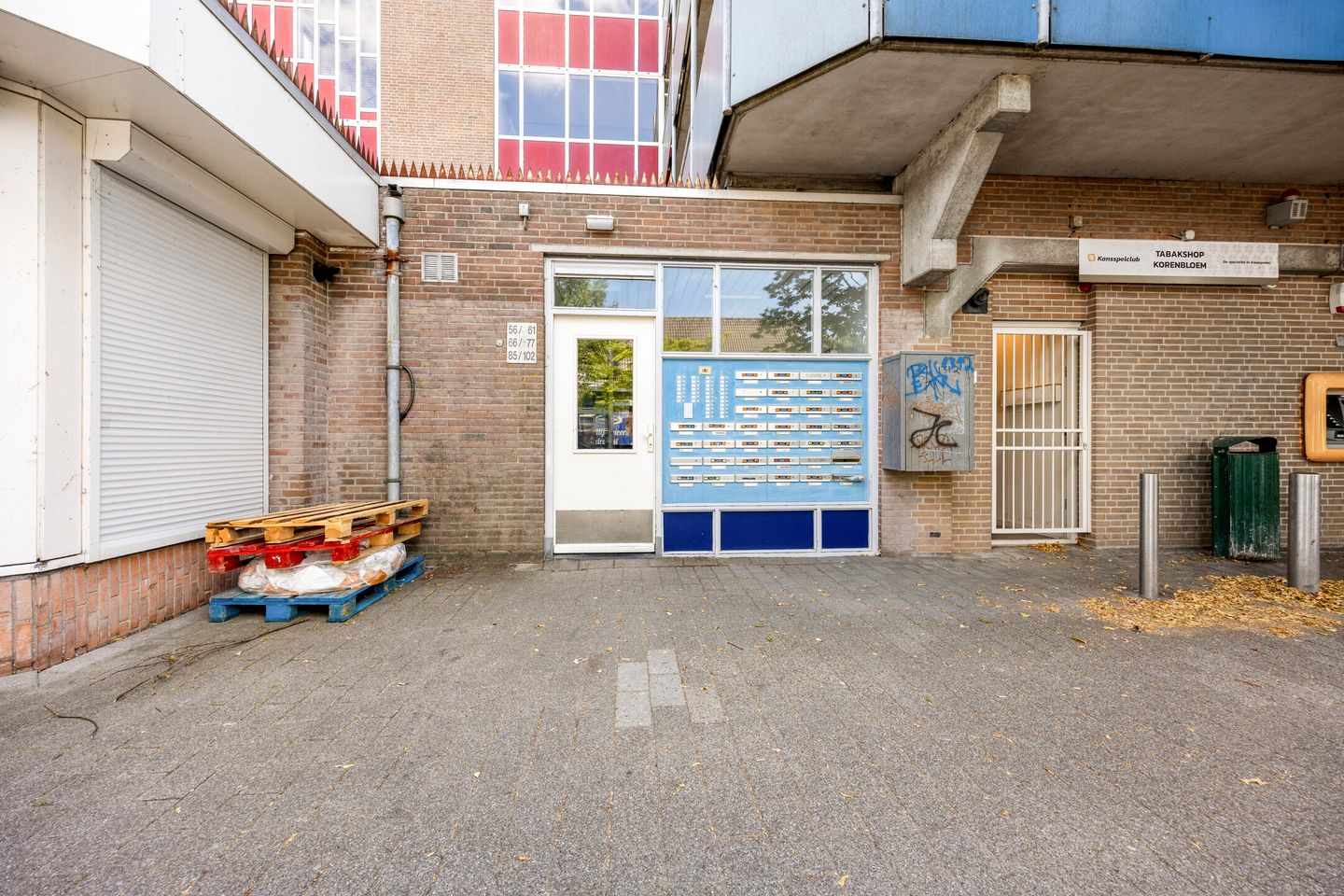 Foto 4 van Korenbloem 66