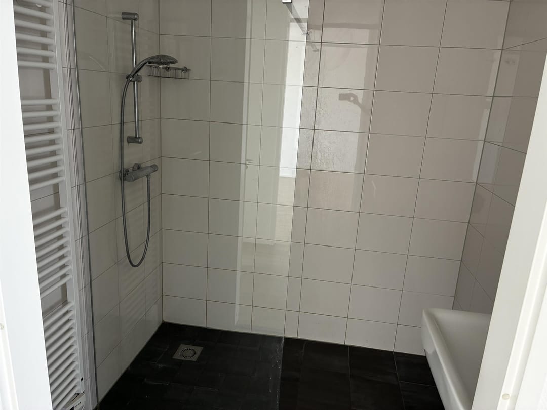 Foto 8 van Stadhoudersplantsoen 228-F