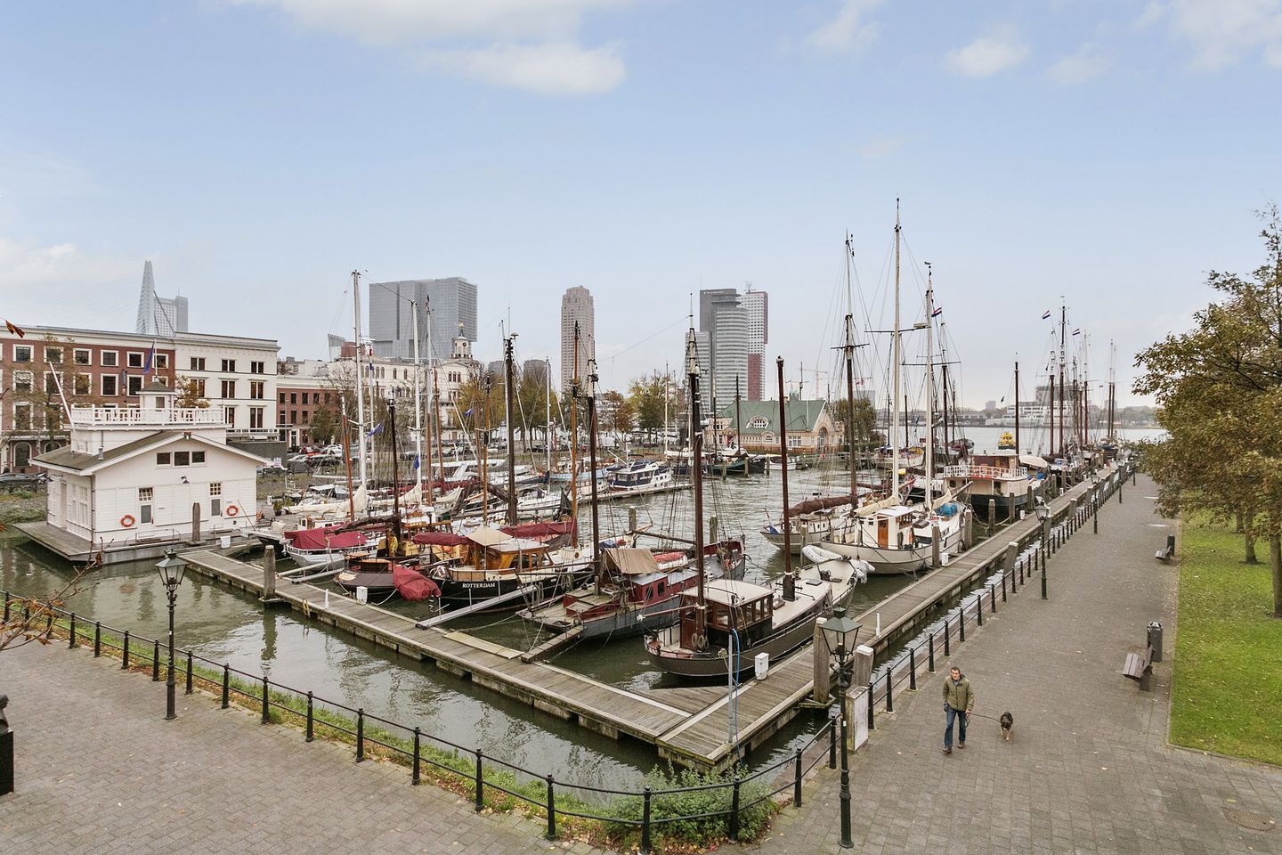 Bekijk foto 3 van Westplein 55