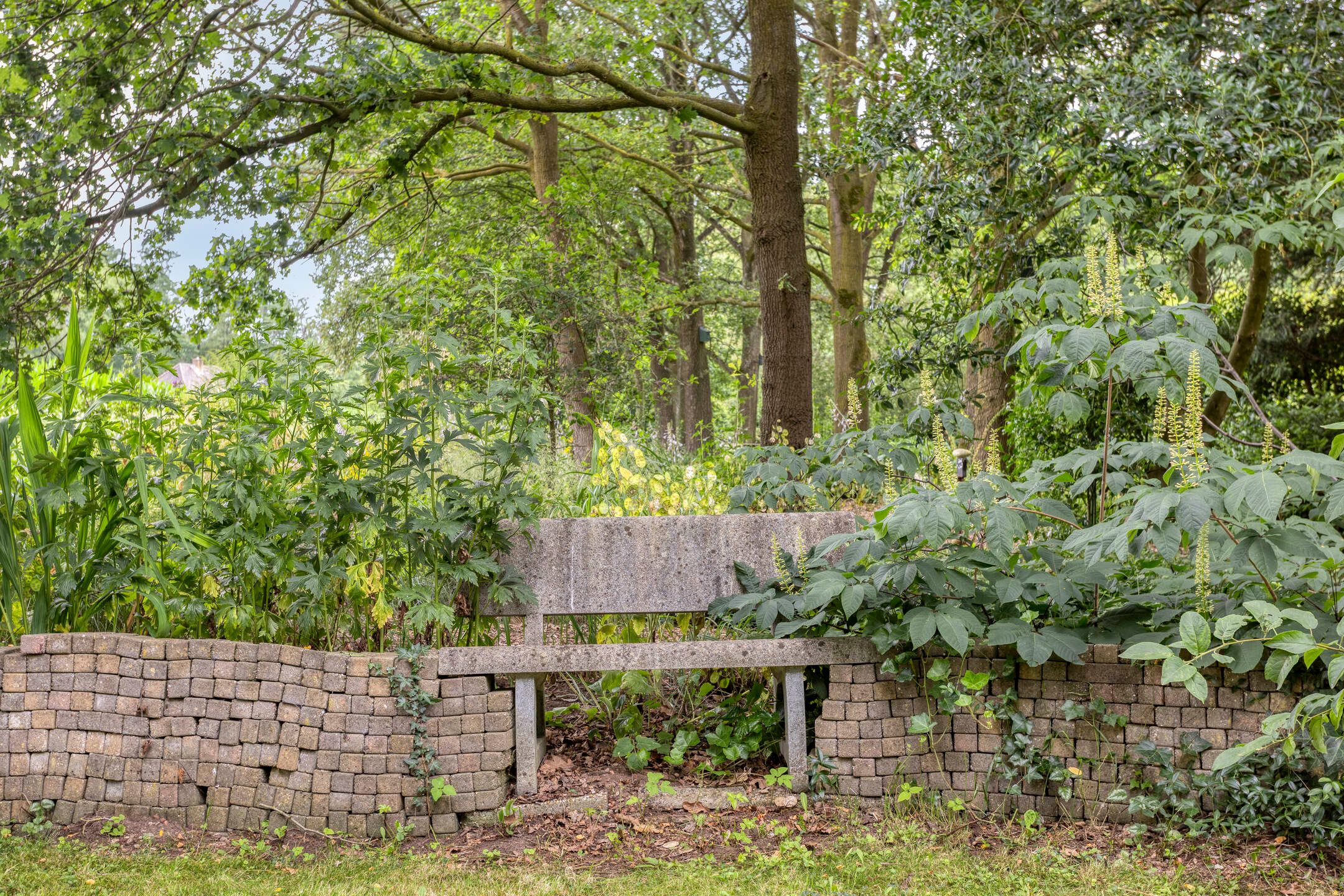 Photo 42 of Diependaalseweg 12