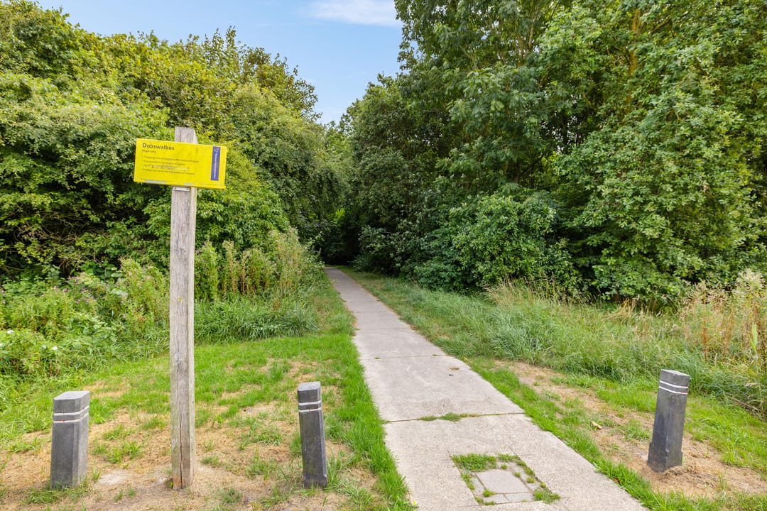 Foto 41 van Westerdijkstraat 50