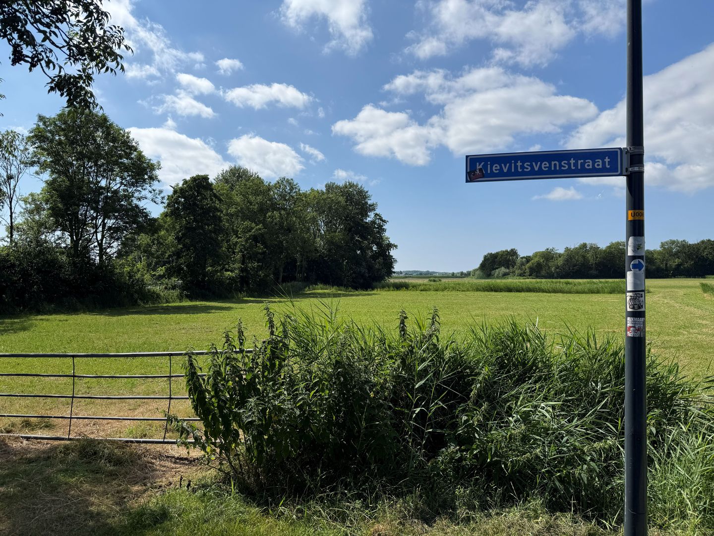View photo 2 of Kievitsvenstraat