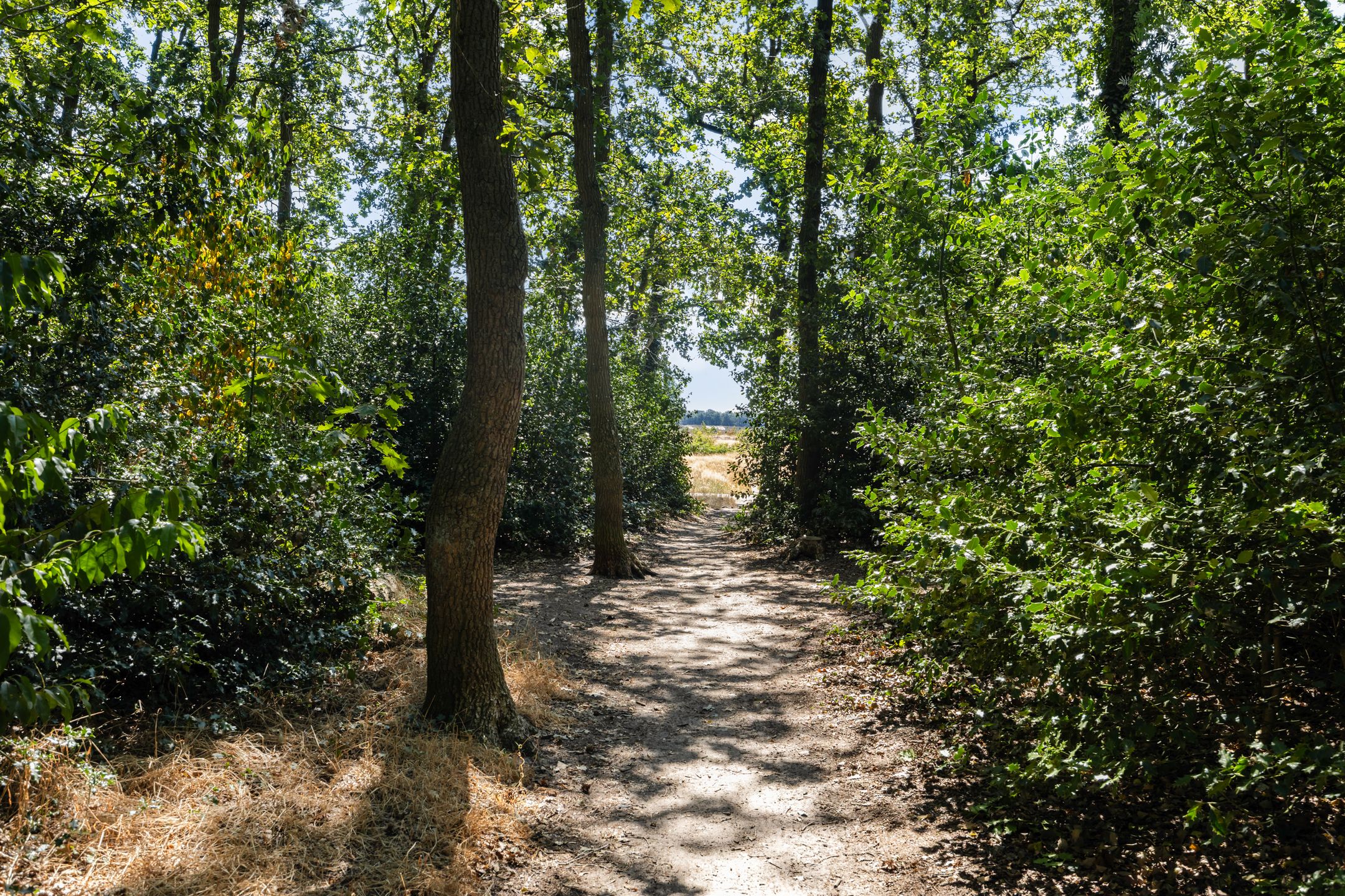 Photo 21 of Anthonie Fokkerstraat 78