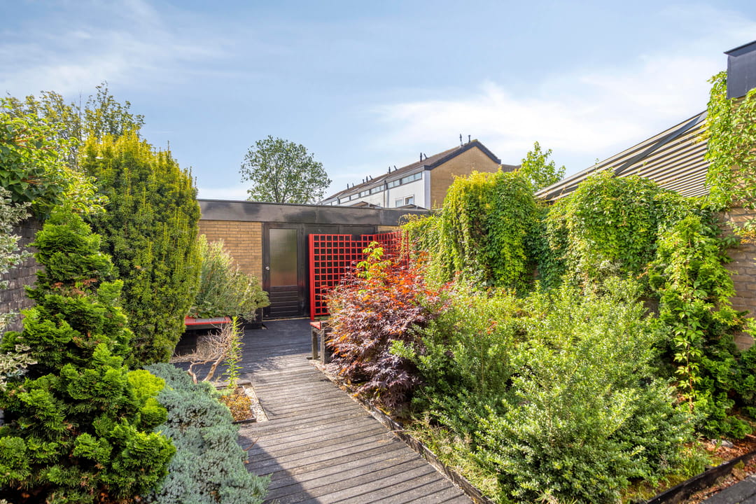 Photo 37 of Dr. M.L. Kingstraat 58