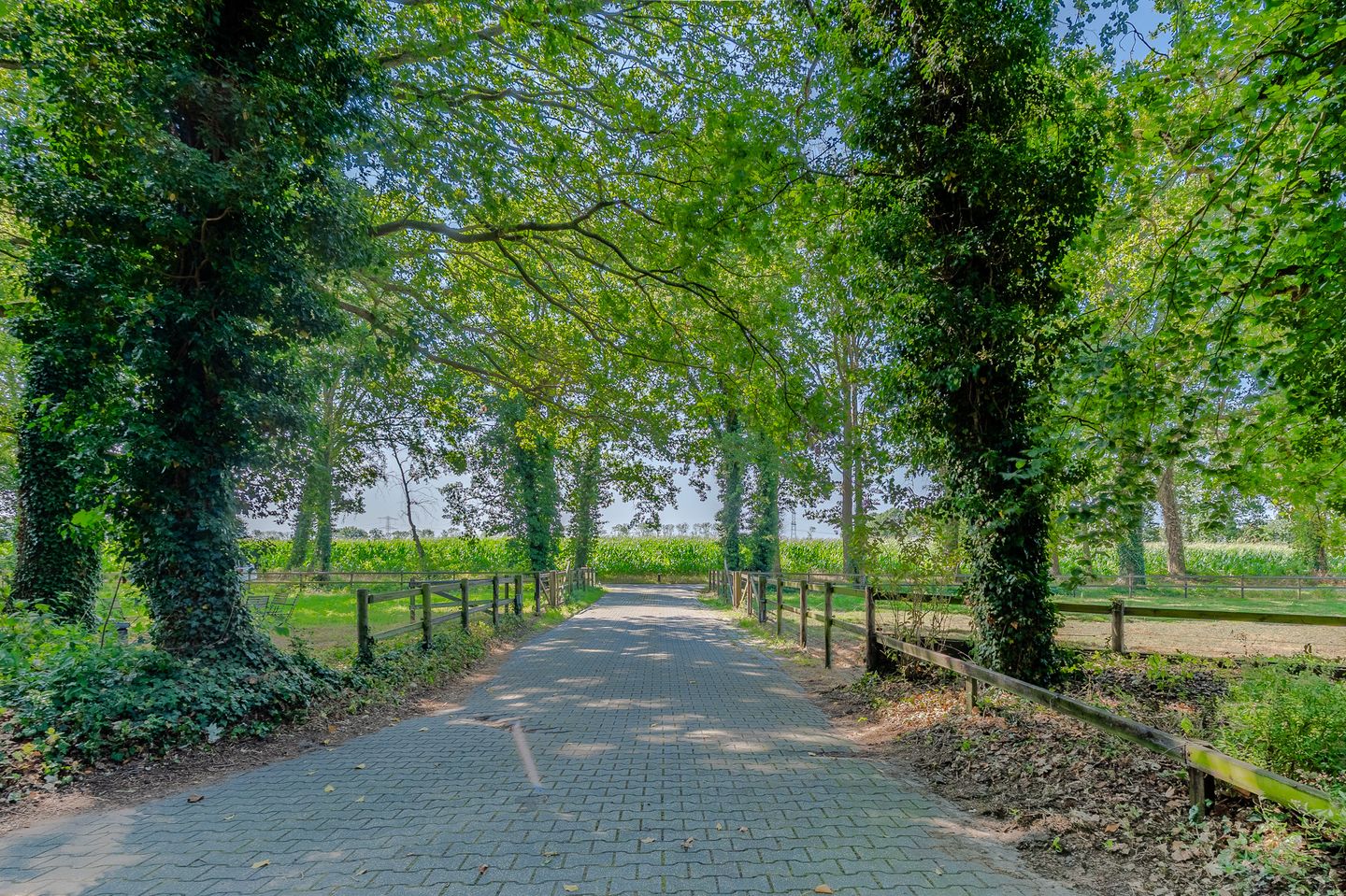 Photo 5 of Bosrandweg 37