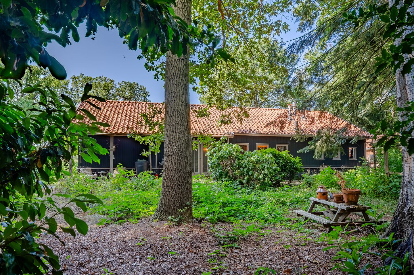 Photo 65 of Bosrandweg 37
