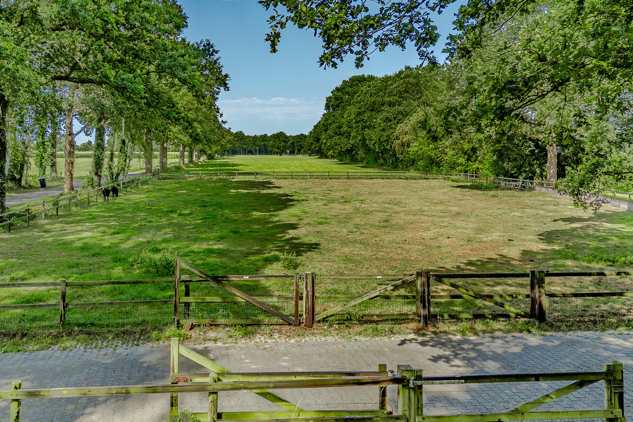Photo 75 of Bosrandweg 37