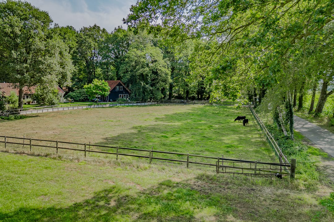 Photo 76 of Bosrandweg 37