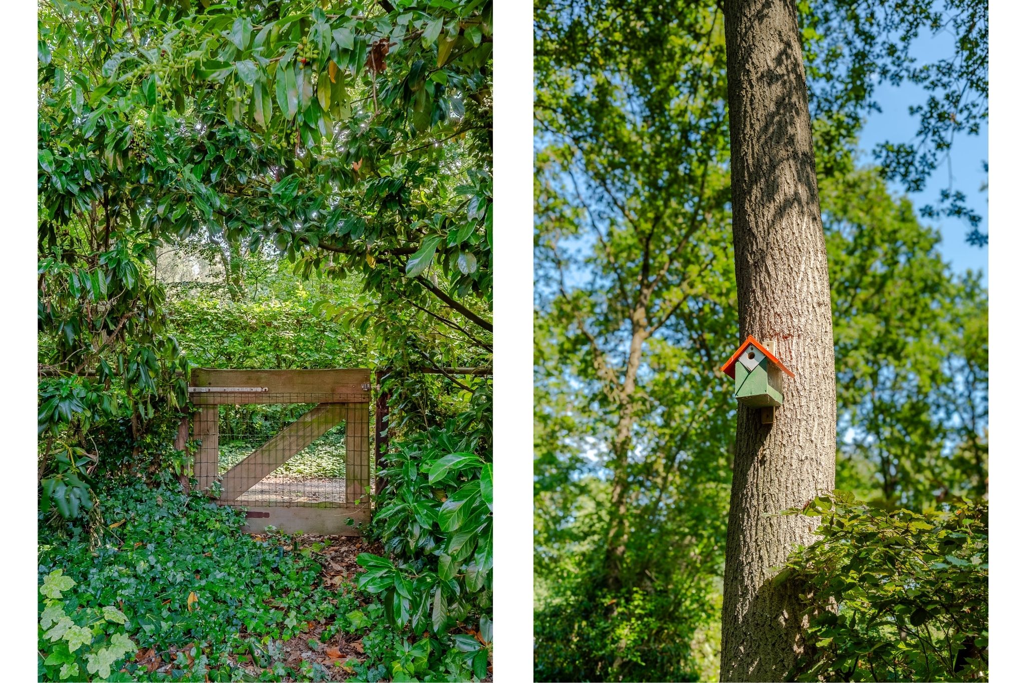 Photo 66 of Bosrandweg 37