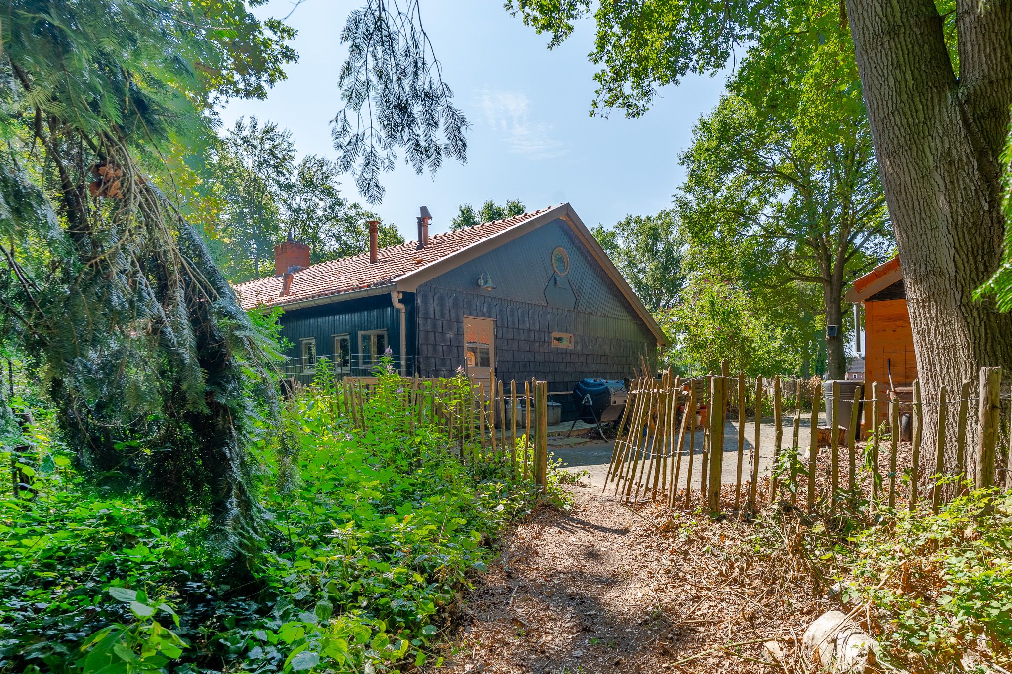Photo 72 of Bosrandweg 37