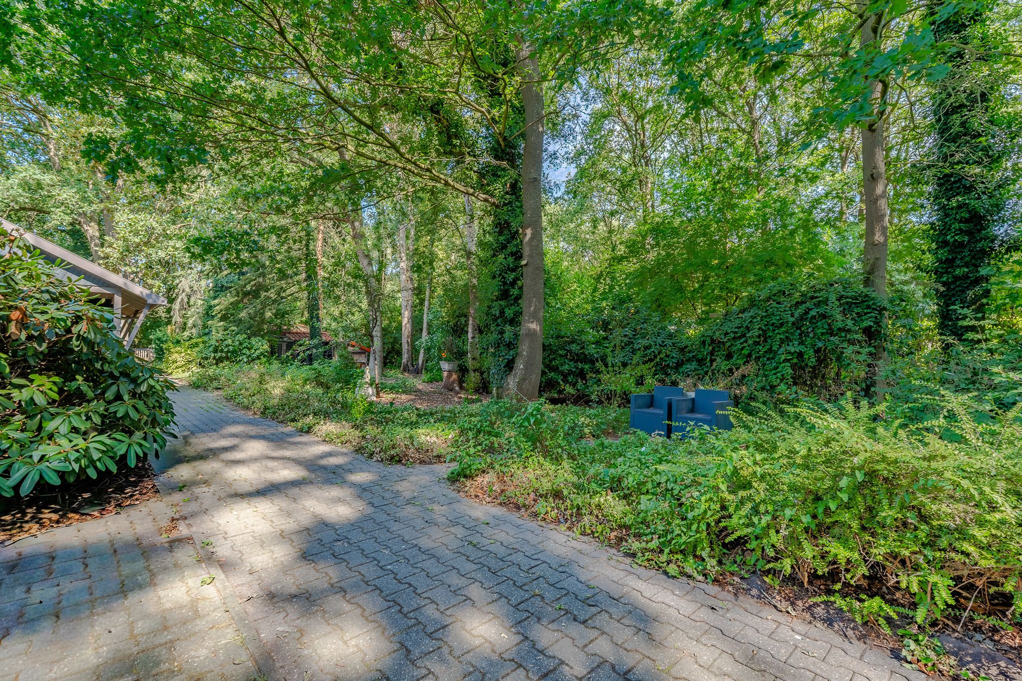 Photo 42 of Bosrandweg 37