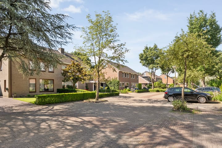 Foto 3 van Costersland 3