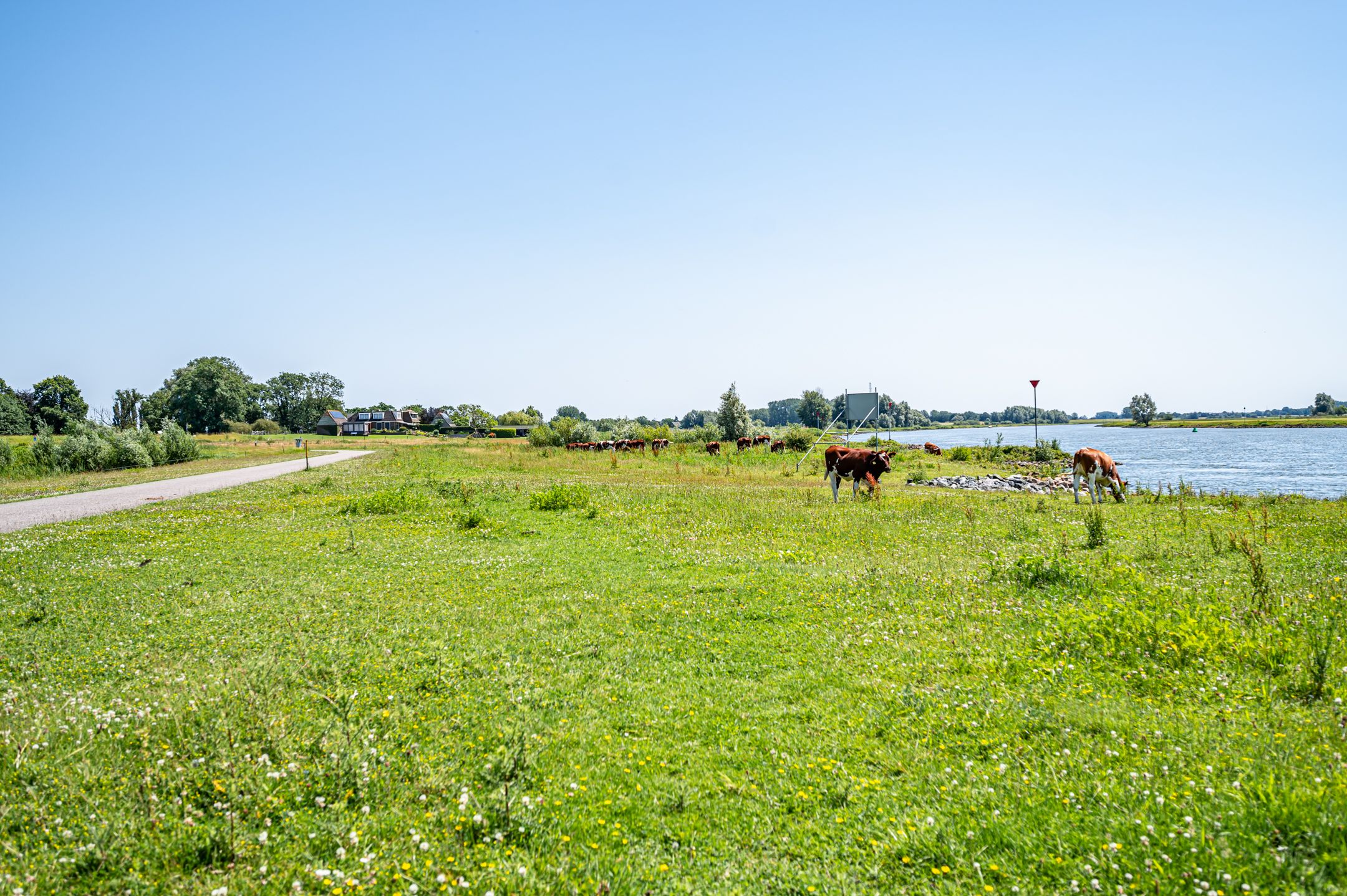 Photo 75 of Schellerdijk 12