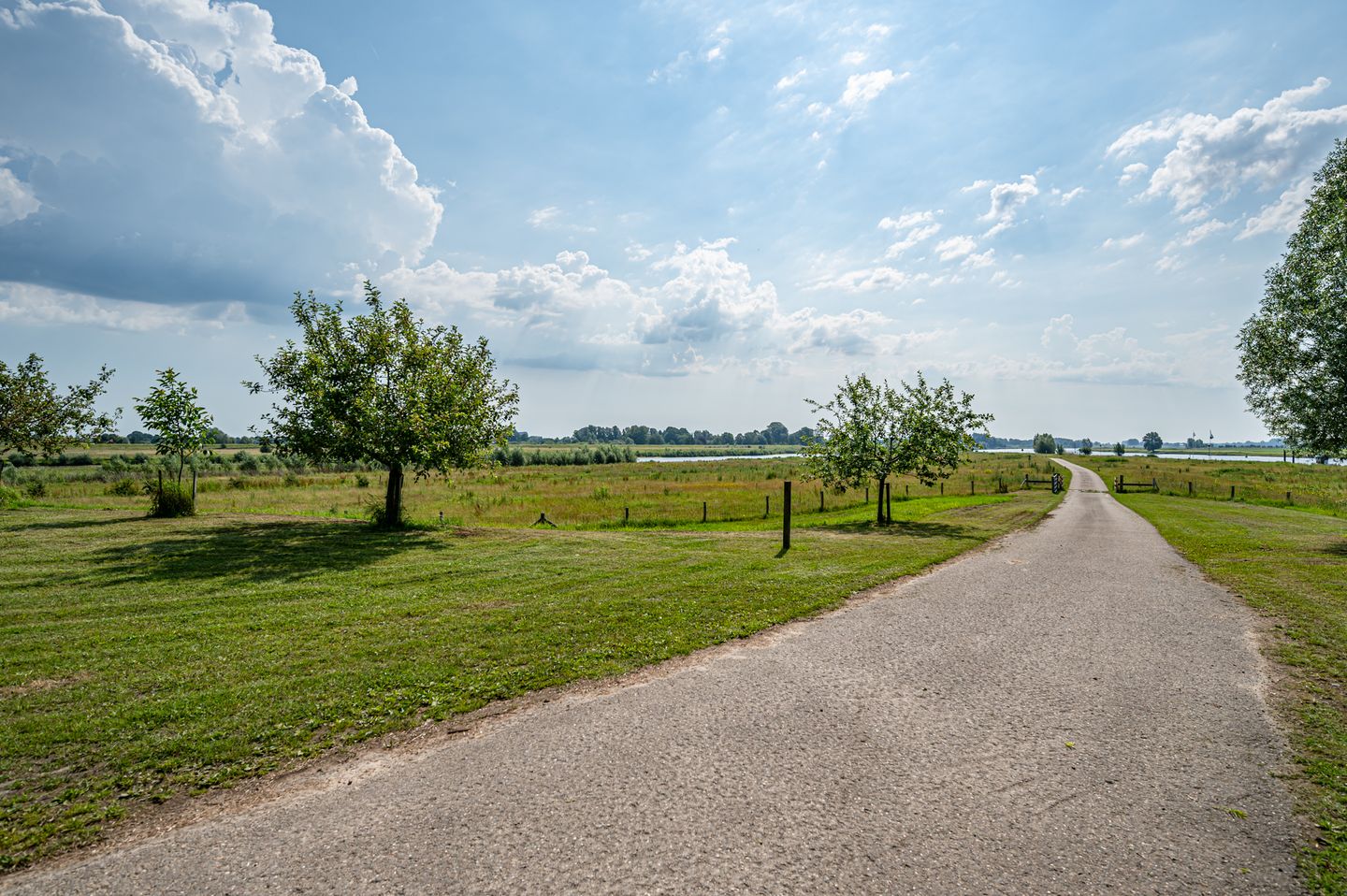 Photo 74 of Schellerdijk 12