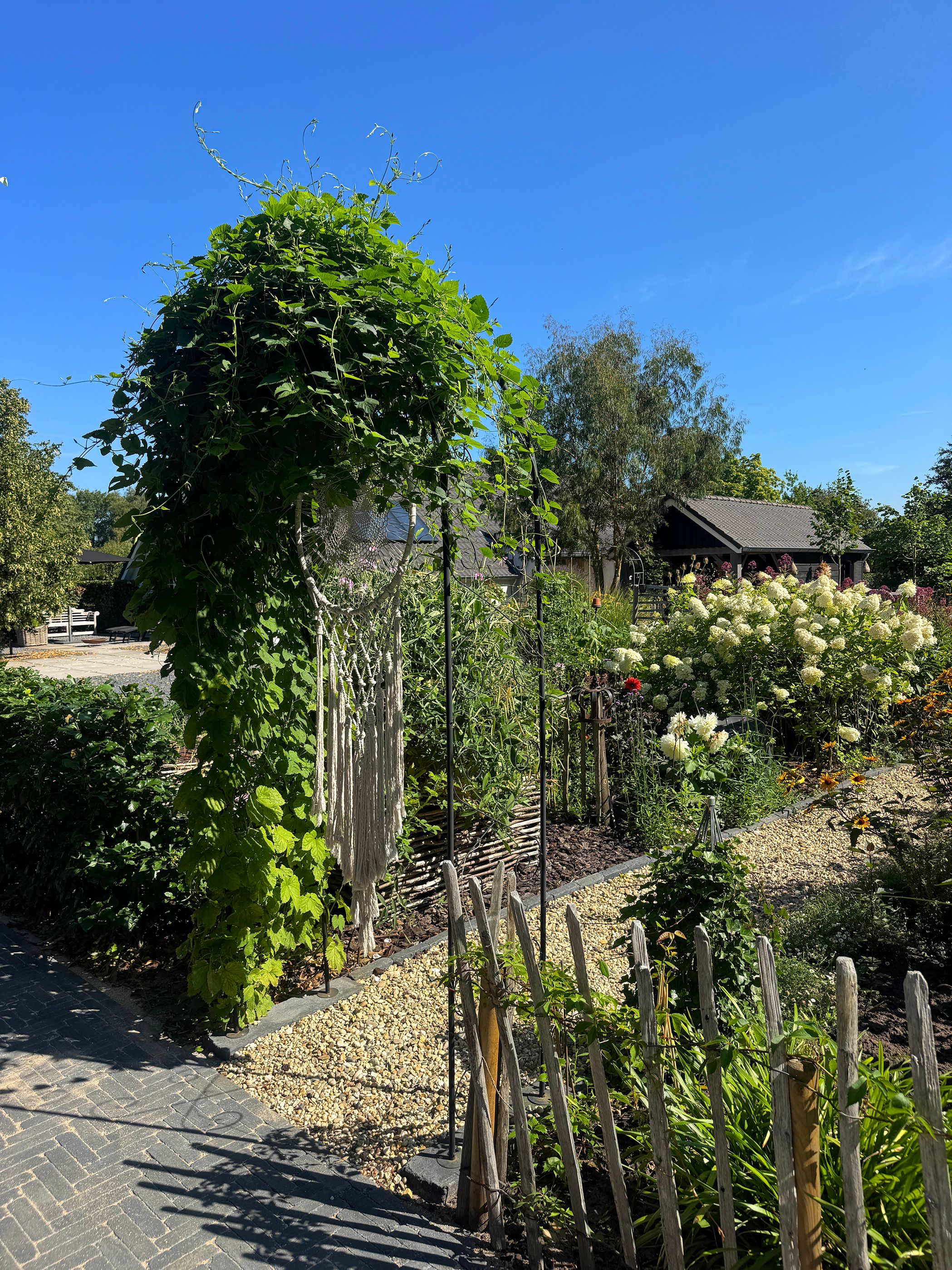 Photo 93 of Meeuwenweg 22