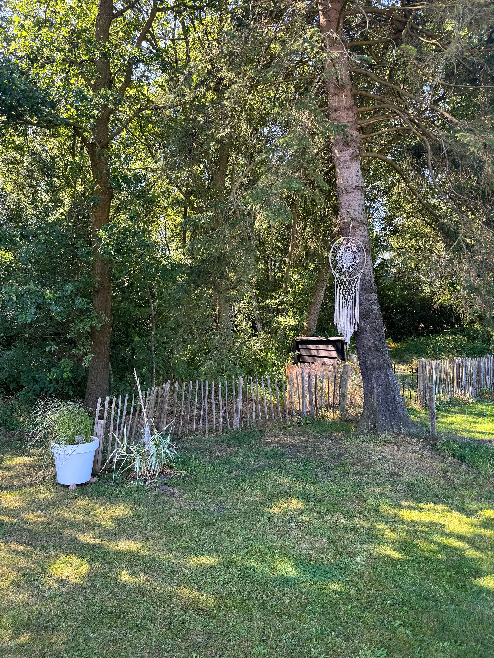 Photo 120 of Meeuwenweg 22