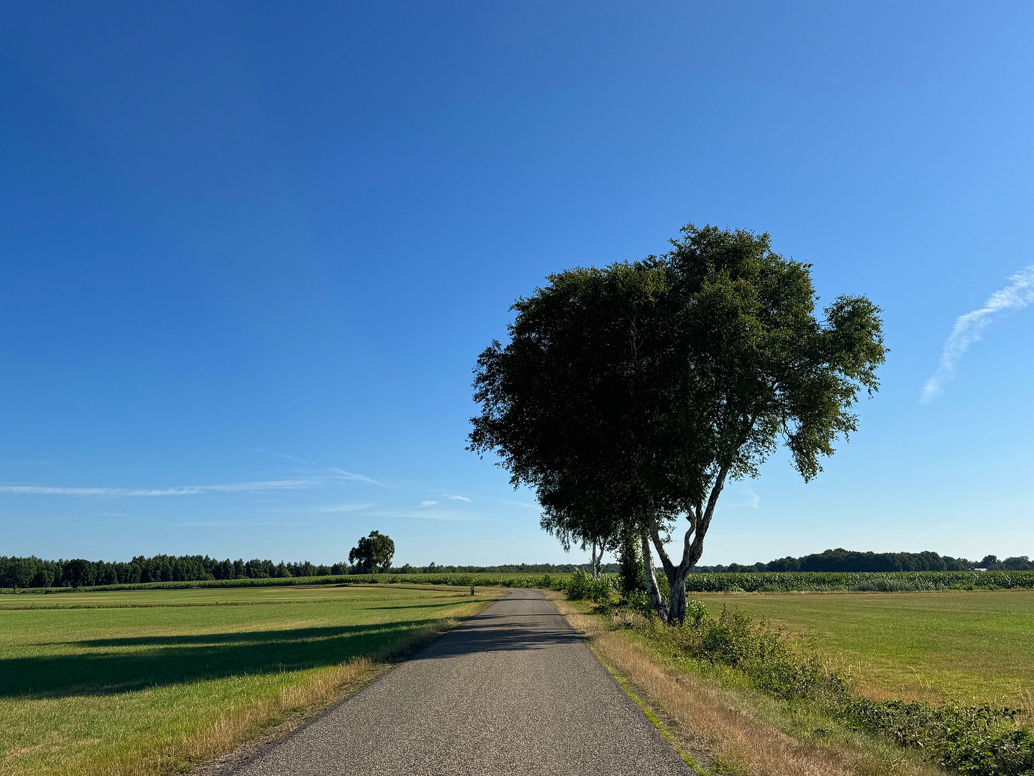 Photo 132 of Meeuwenweg 22