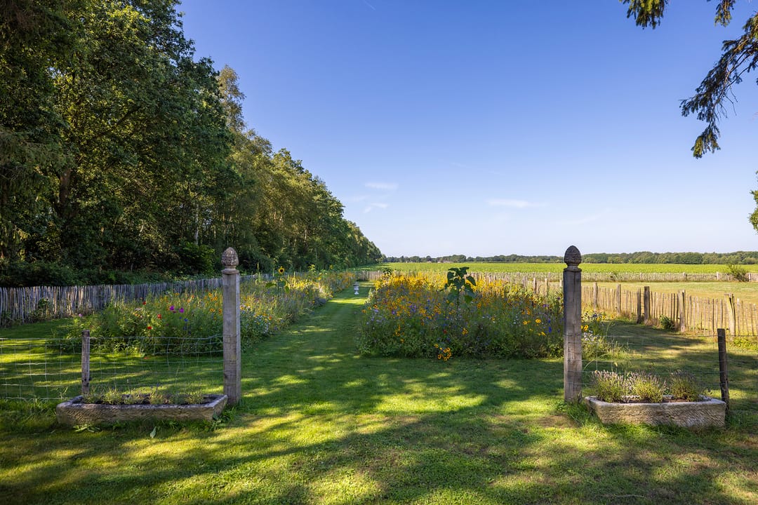 Photo 107 of Meeuwenweg 22