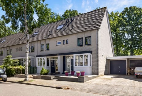 Pienemanstraat thumbnail
