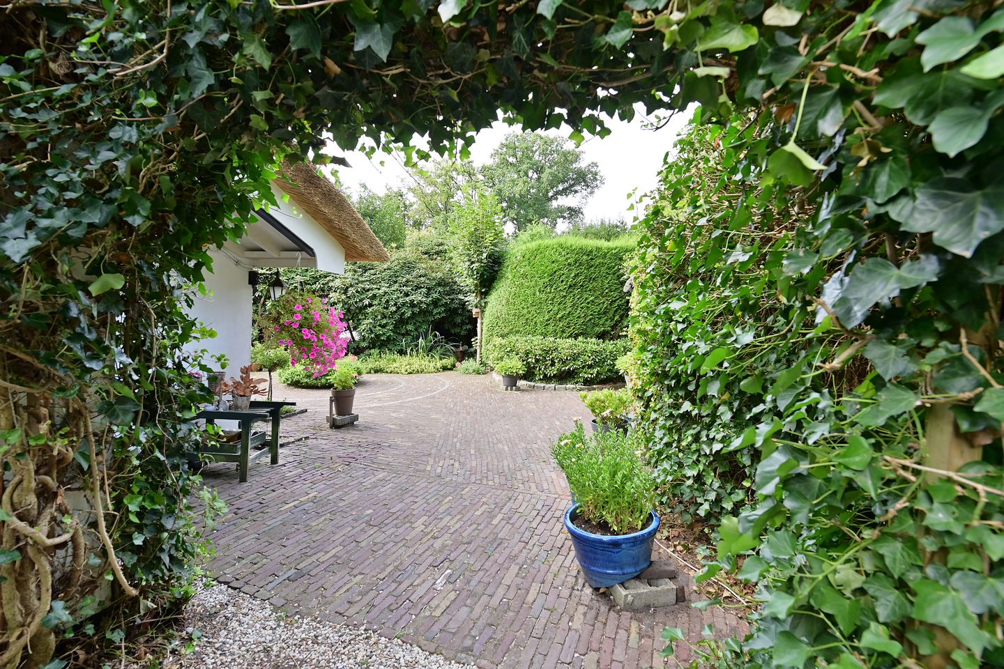 Foto 20 van Kostverloren 64-A