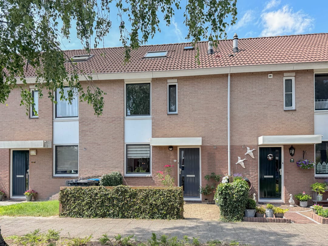 Foto 1 van Schout 123