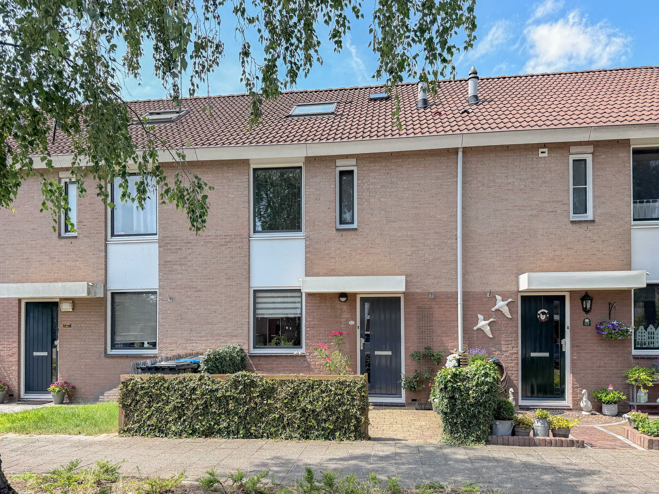 Schout 123