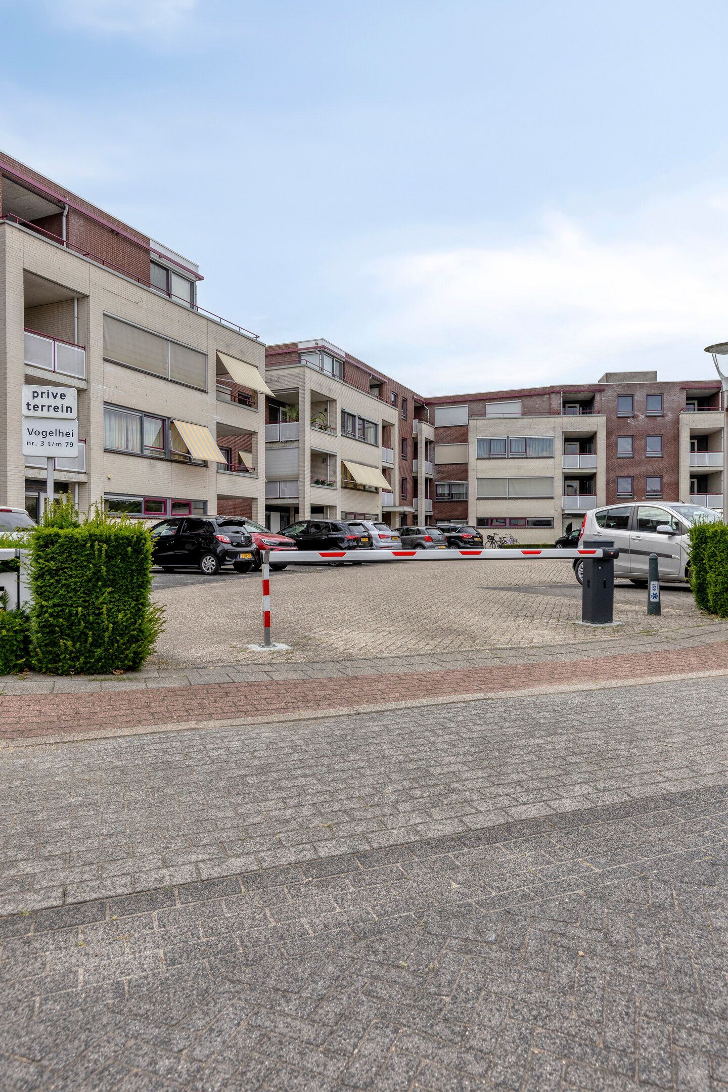 Foto 44 van Vogelhei 43