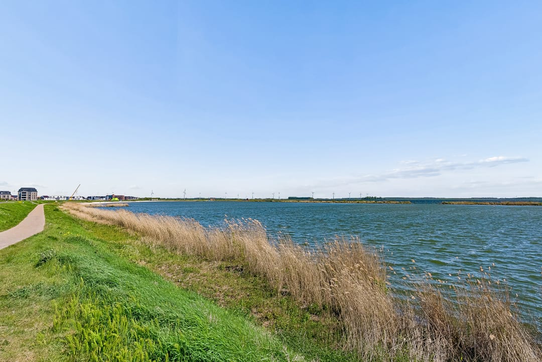 Photo 71 of De Vriendschap 30