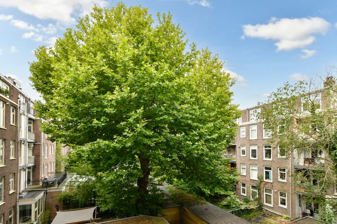 Foto 8 van Rhijnvis Feithstraat 60-2