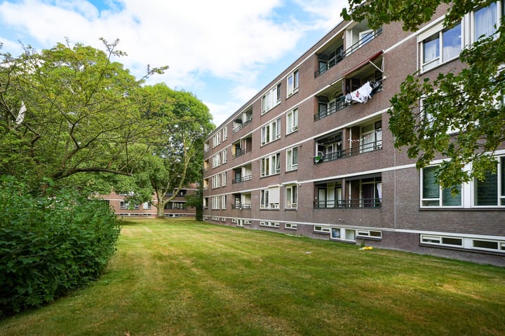 Foto 4 van Bredenoord 181